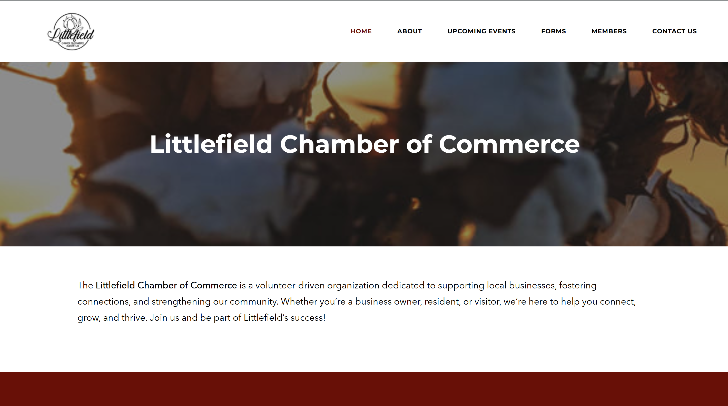 Littlefield Chamber of Commerce Website